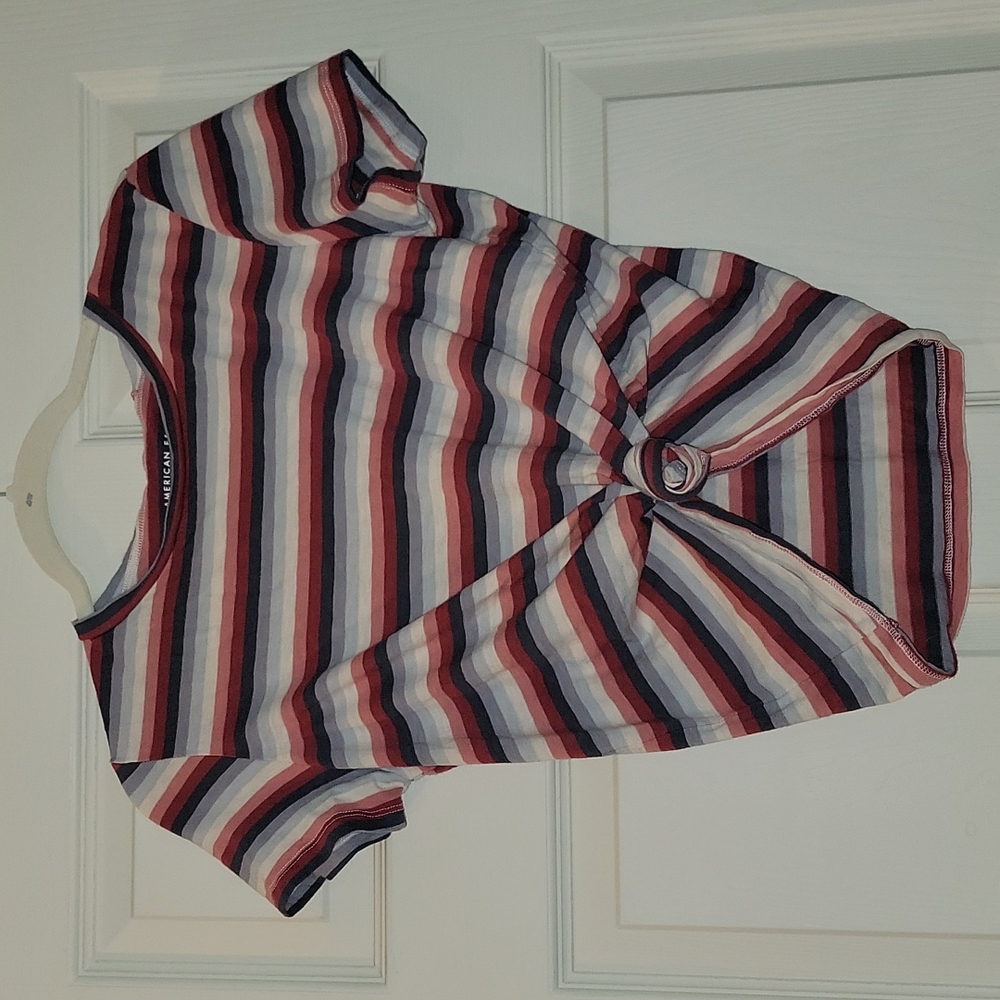 Striped American eagle cropped tee